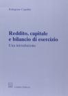 Reddito, capitale e bilancio di esercizio. Una introduzione