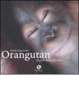 Orangutan. Angeli della foresta