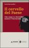 Il cervello del paese. Che cosa � o dovrebbe essere l'Universit�