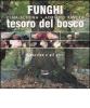 Funghi, tesoro del bosco. Il porcino e gli altri