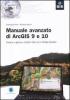 Manuale avanzato di ArcGIS 9 e 10. Creare e gestire modelli GIS con il Model Builder