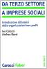 Da terzo settore a imprese sociali. Introduzione all'analisi delle organizzazioni non profit