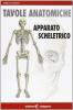 Tavole anatomiche. Apparato scheletrico