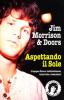 Jim Morrison & Doors. Aspettando il sole