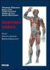 Anatomia umana vol.3