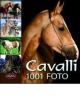 Cavalli