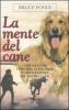 La mente del cane