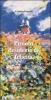 Piccolo desiderio di felicit�