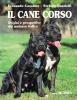 Il cane corso. Origini e prospettive del molosso italico