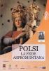 Polsi. La fede aspromontana. Con DVD