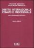 Diritto internazionale privato e processuale vol.1