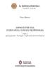 Appunti per una storia della lingua neopersiana vol.1