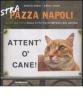 Strapazza Napoli. Oltre 200 foto dalla citt� pi� divertente del mondo vol.2