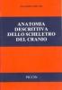 Anatomia descrittiva dello scheletro del cranio