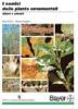 I nemici delle piante ornamentali. Alberi e arbusti. CD-ROM