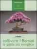 Coltivare i bonsai. La guida pi� semplice