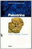 Palestrina. Il Museo archeologico nazionale