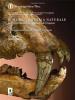 Il museo di storia naturale dell'Universit� degli studi di Firenze. Le collezioni geologiche e paleontologiche. Ediz. italiana e inglese