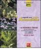I segreti delle piante aromatiche