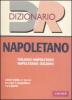 Dizionario napoletano. Italiano-napoletano, napoletano-italiano