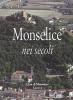 Monselice nei secoli