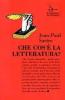 Che cos'� la letteratura?
