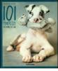101 tenerezze. Per amore dei cani