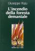 L' incendio della foresta demaniale