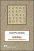 Aenigma. Simbolo mistero e misticismo