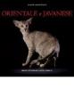 Orientale e javanese