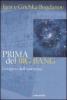 Prima del Big Bang