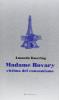 Madame Bovary. Vittima del consumismo