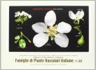 Famiglie di piante vascolari italiane: 1-105. Con CD-ROM