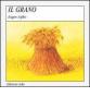 Il grano