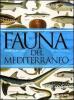 Fauna del Mediterraneo