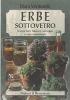 Erbe sottovetro. Come fare liquori, sciroppi e vini medicinali
