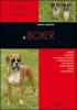 Il boxer