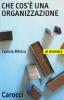 Che cos'� una organizzazione