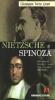 Nietzsche e Spinoza. Ricostruzione filosofico-storica di un incontro impossibile