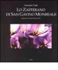 Lo zafferano di San Gavino Monreale