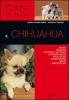Il chihuahua