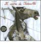 Il cuore di Chisciotte. Con DVD