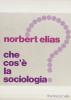 Che cos'� la sociologia?