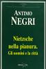 Nietzsche nella pianura. Gli uomini e la citt�