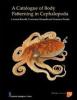 Catalogue of body patterning in Cephalopoda (A)