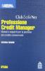 Professione credit manager