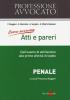 Come scrivere atti e pareri. Dall'esame di abilitazione alle prime attivit� di studio. Penale