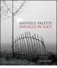 Raffaele Paletti. Paesaggi in luce
