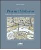 Pisa nel Medioevo. Produzione, societ�, urbanistica: una lettura archeologica