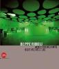 Beppe Riboli. Architetture della notte